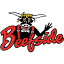 Favicon of Beefside